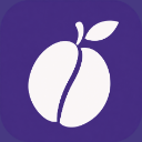 PlumS logo